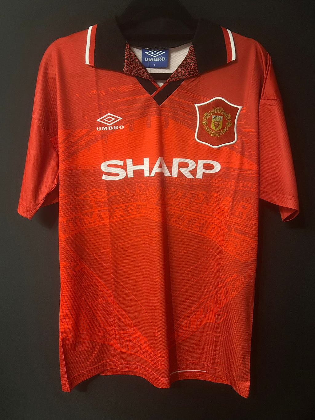 Manchester United Thuisshirt 94/95 Cantona